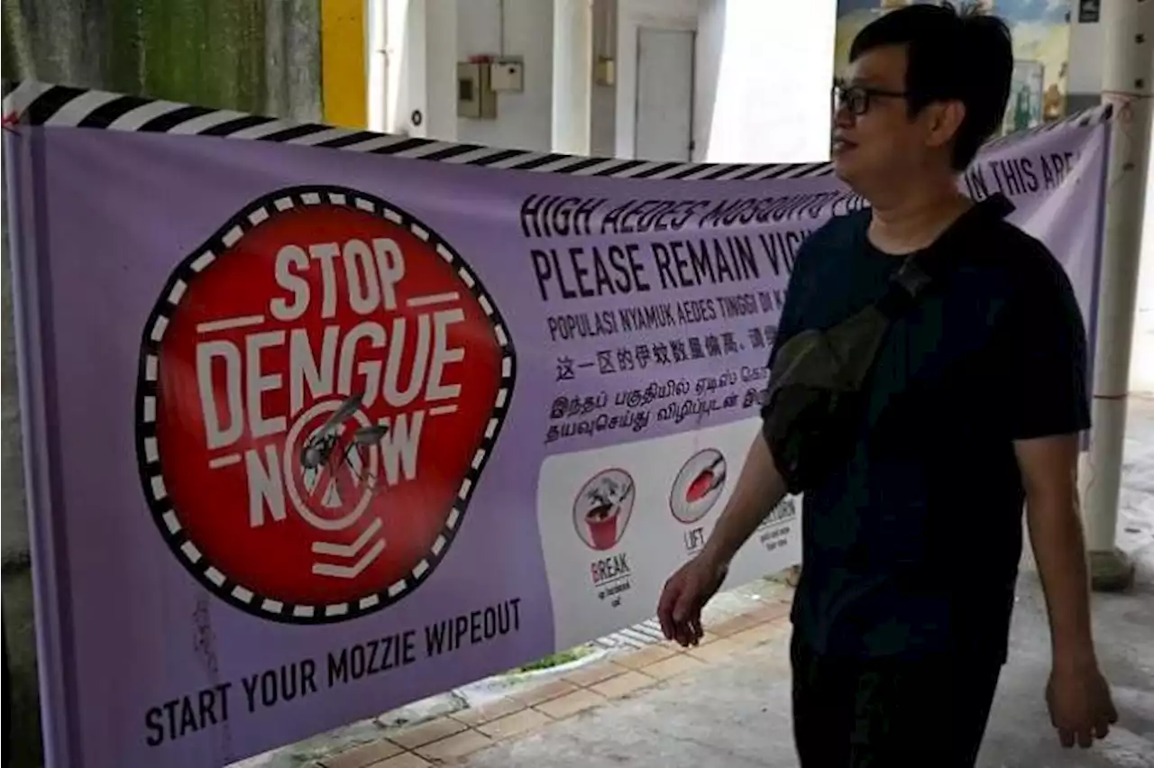 Resurgence of previously dominant dengue virus strain could lead to surge in cases: NEA