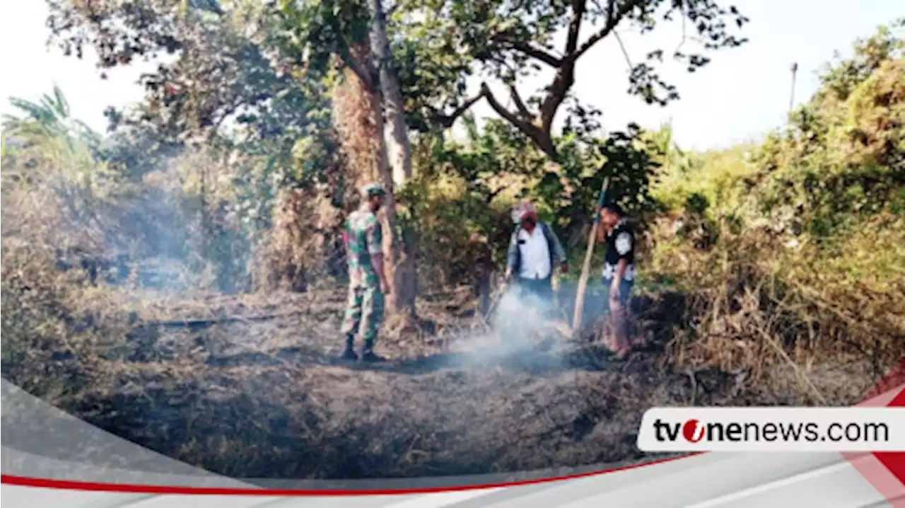 Aparat dan Warga Berhasil Padamkan Kebakaran Lahan Kosong Milik PG Jatibarang