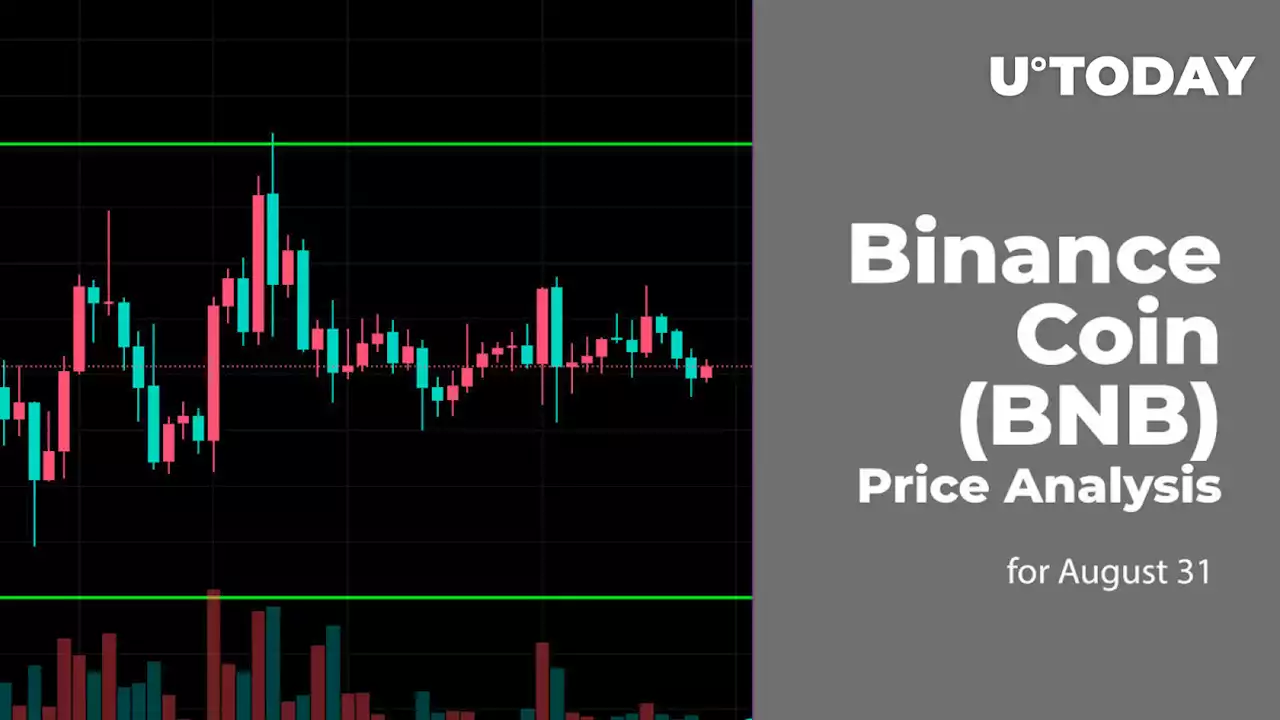 Binance Coin (BNB) Price Analysis for August 31