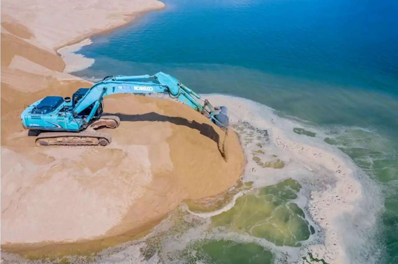 Extração de areia está ‘esterilizando’ fundo dos oceanos, alerta ONU