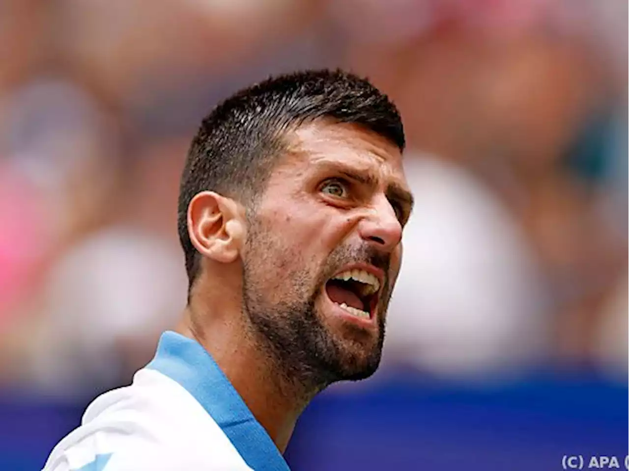 Djokovic in drei Sätzen ins US-Open-Halbfinale