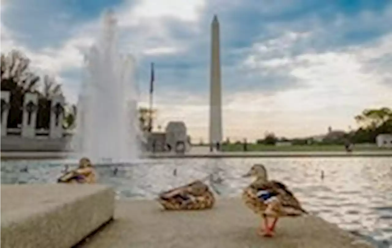 D.C.-area forecast: Scorching heat continues through tomorrow, then a little cooler Friday