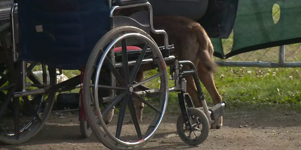 ‘They really need the help’: Anchorage man cares for homeless couple stuck living in ‘tent city’