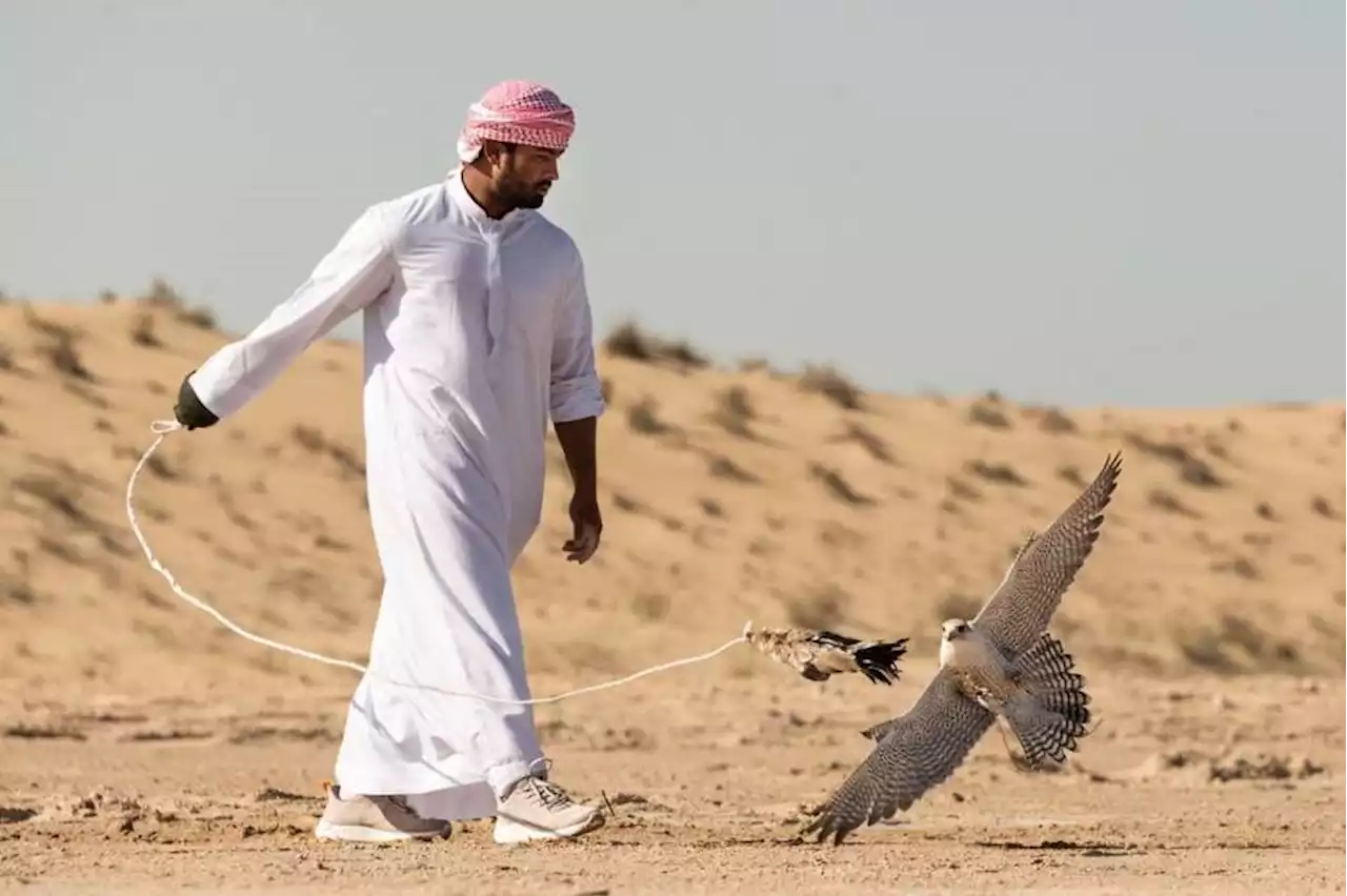 16 فريقاً في النسخة الأولى من كأس الاتحاد لرياضات الصقور