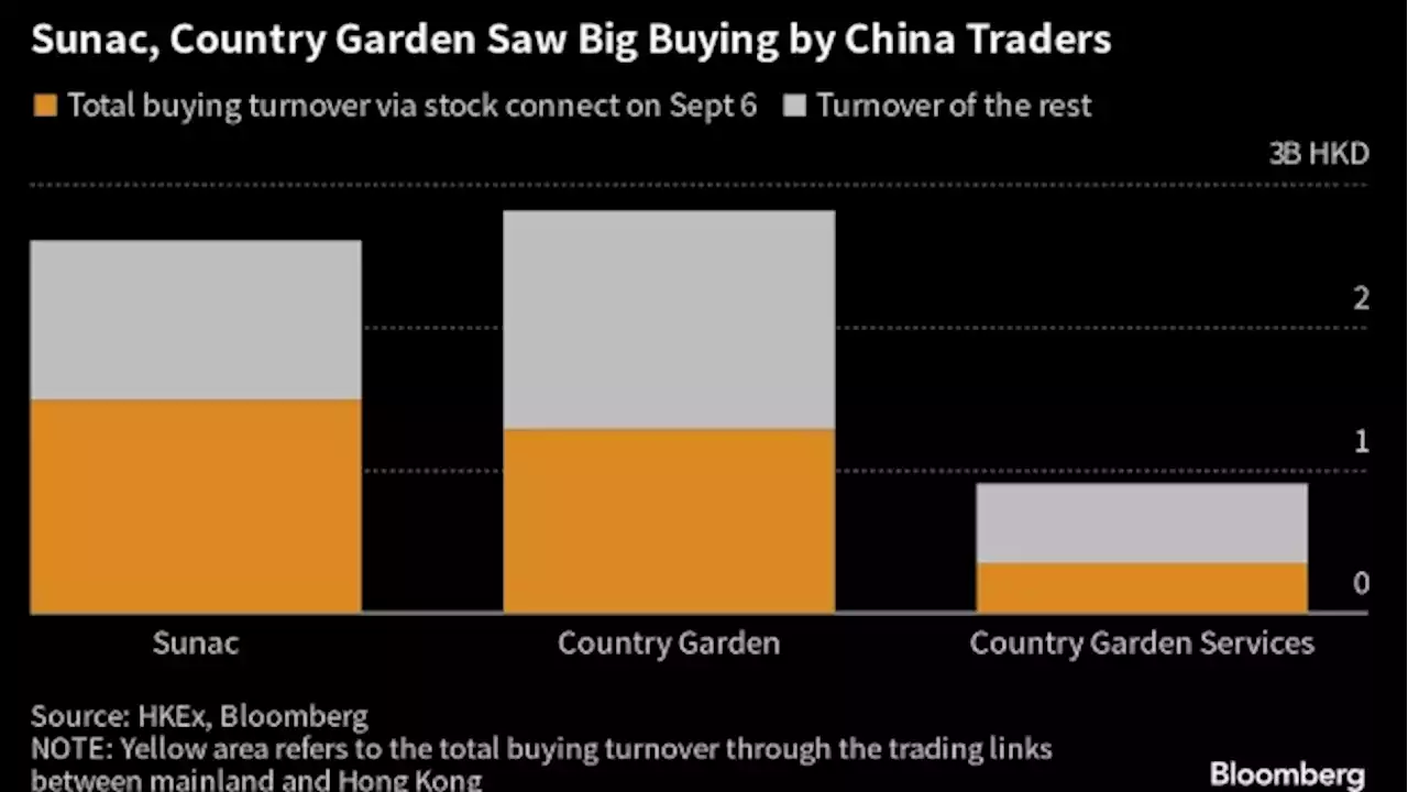 Surge in Chinese Developer Stocks Powered by Mainland Traders