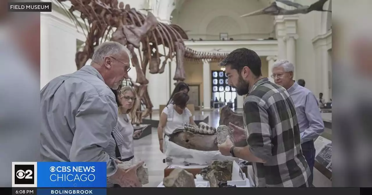 Field Museum's ID Day returns Saturday