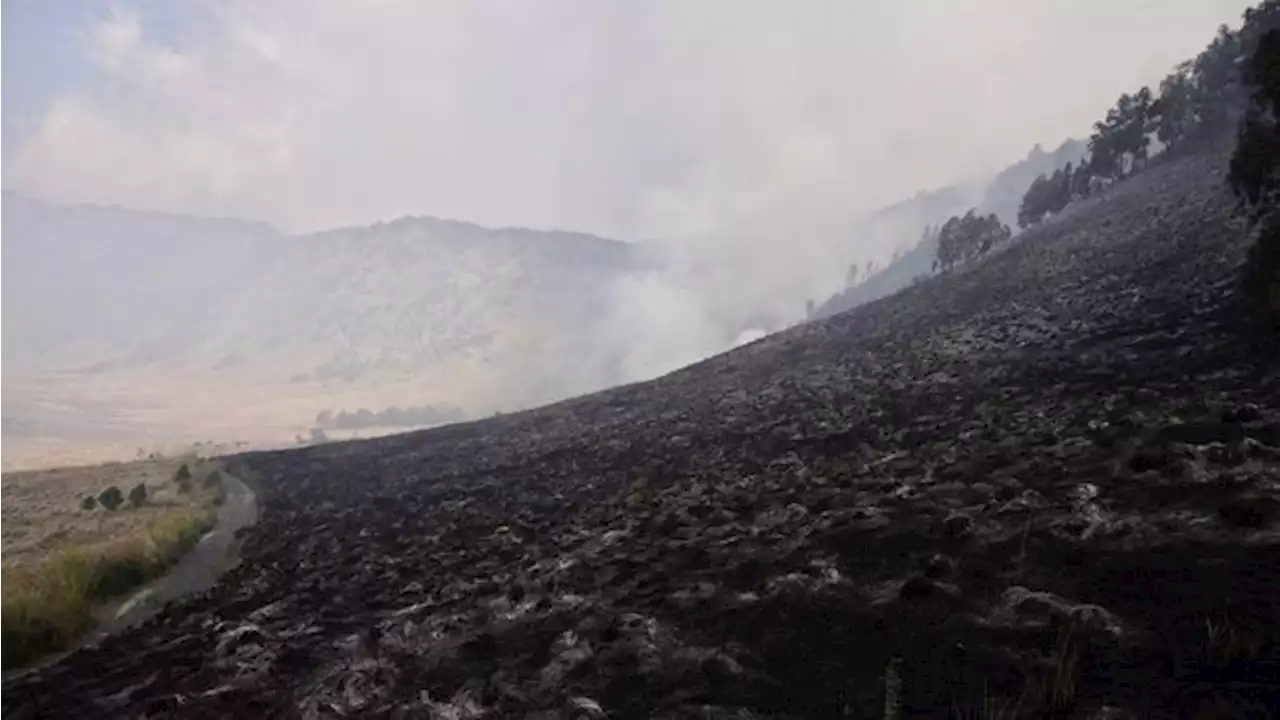 Bukit Teletubbies Kebakaran, Jalur Wisata Gunung Bromo Ditutup Lagi