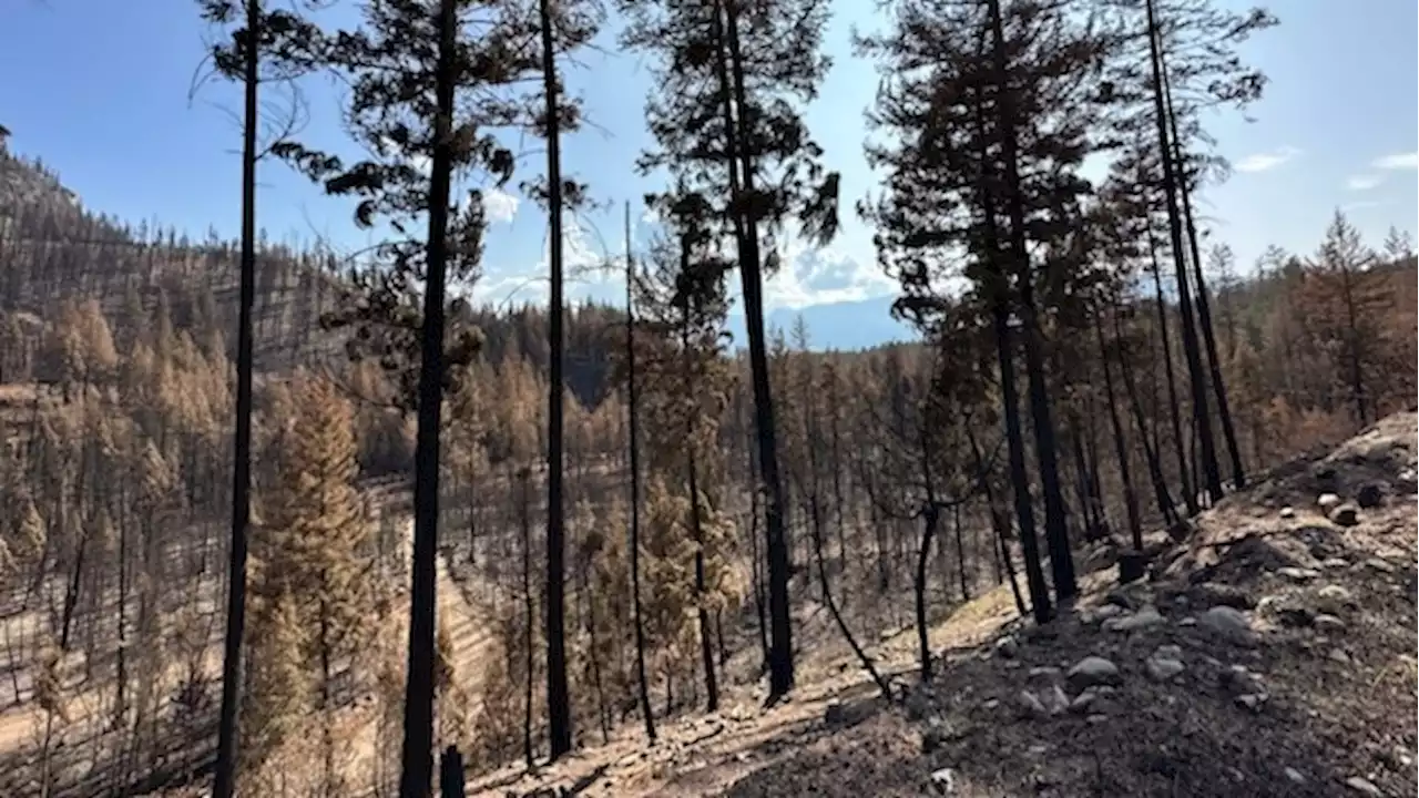 'Some areas of the community have changed dramatically': Scope of damage revealed in B.C.'s Shuswap region