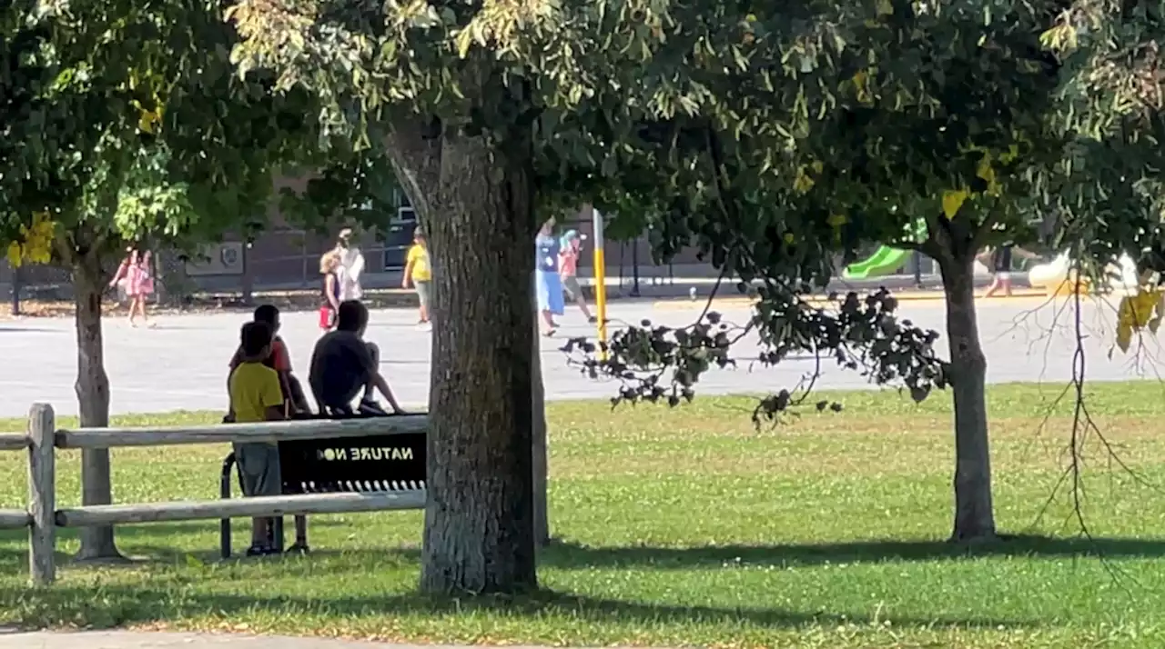 Sticky start to school year as students swelter during September scorcher