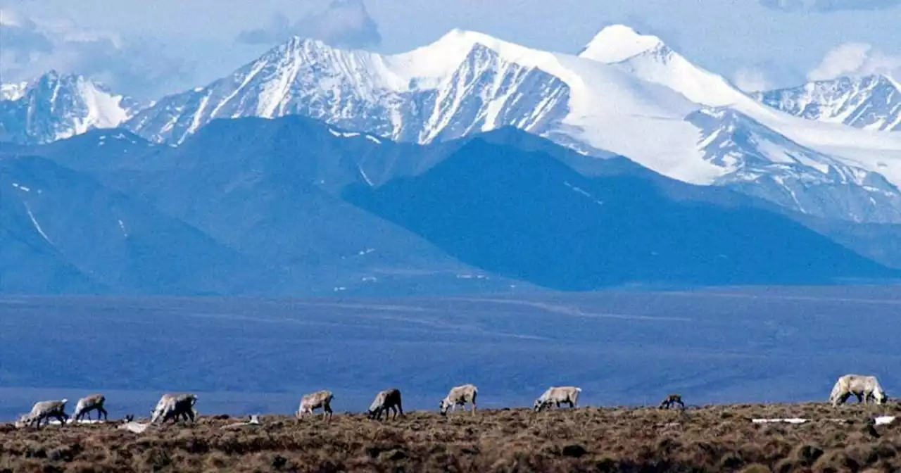 Biden administration to block drilling on millions of acres in Arctic Alaska