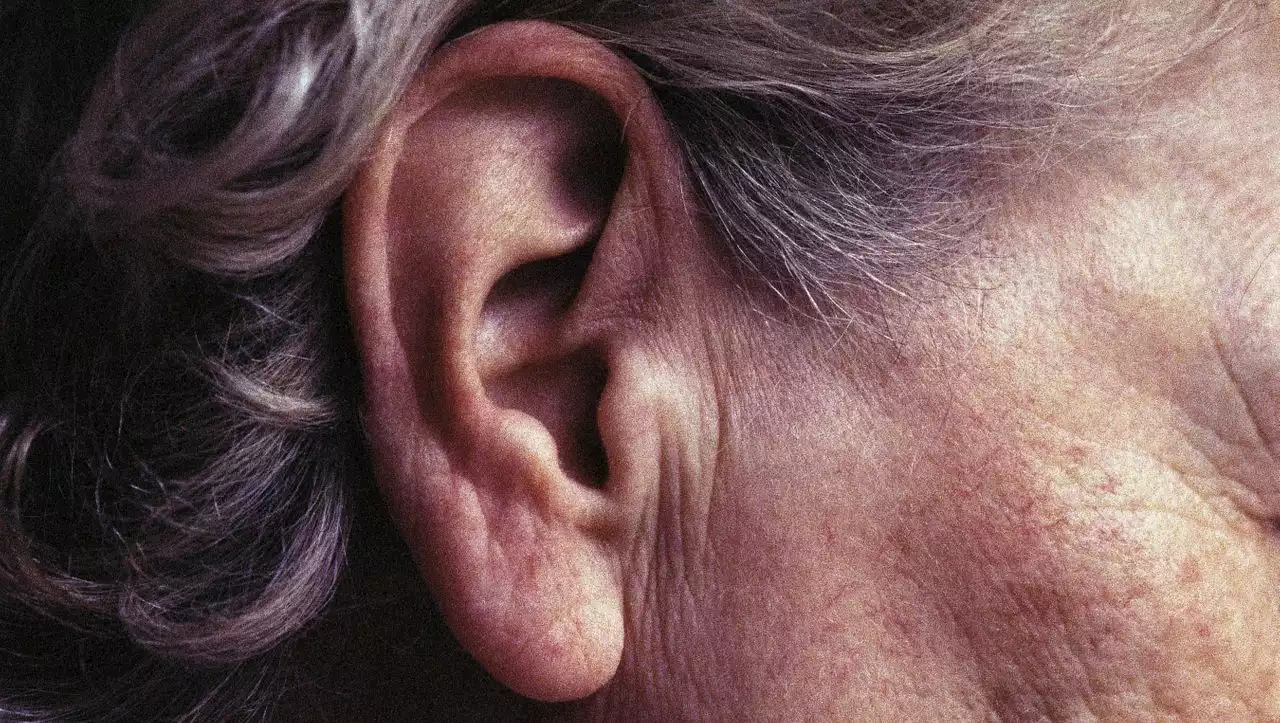 (S+) Tinnitus: So lernt man, mit dauerhaften Ohrgeräuschen zu leben