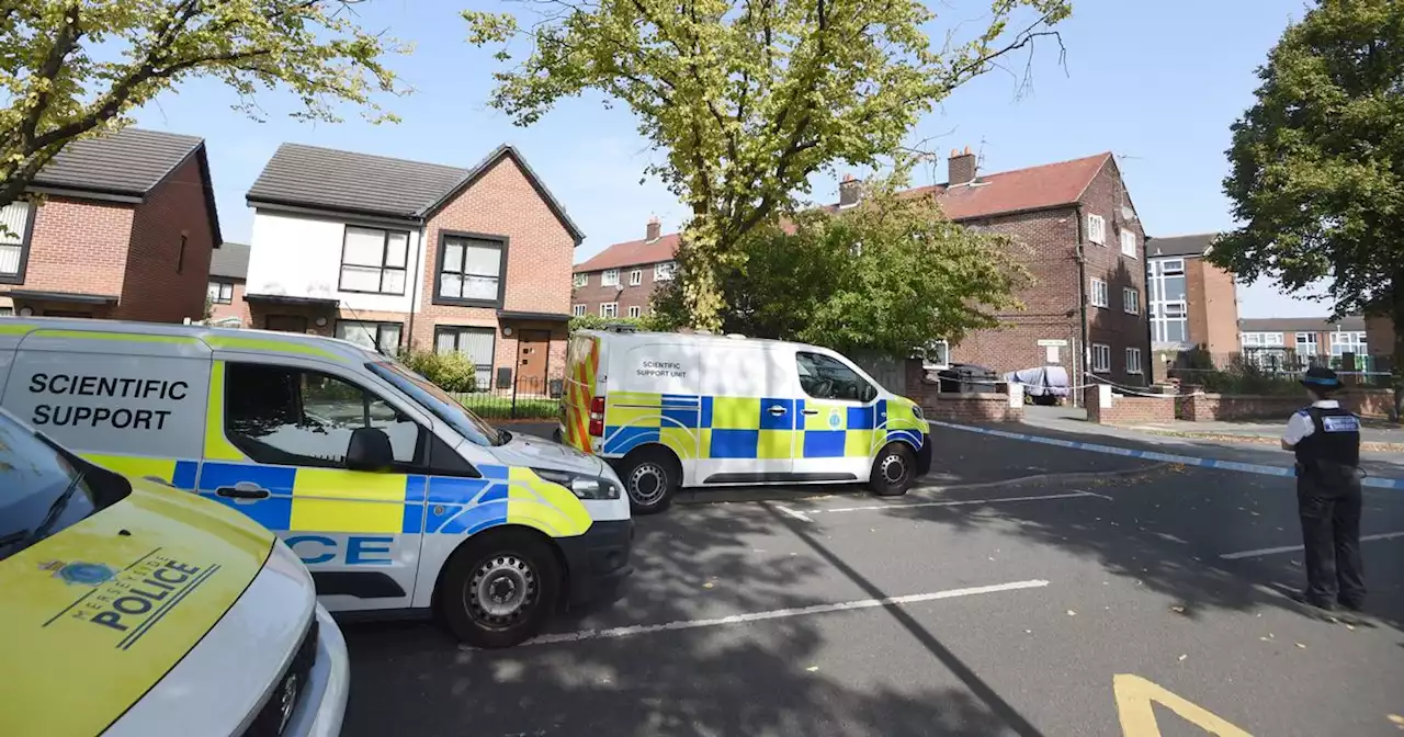 Update on man and woman arrested after person stabbed to death