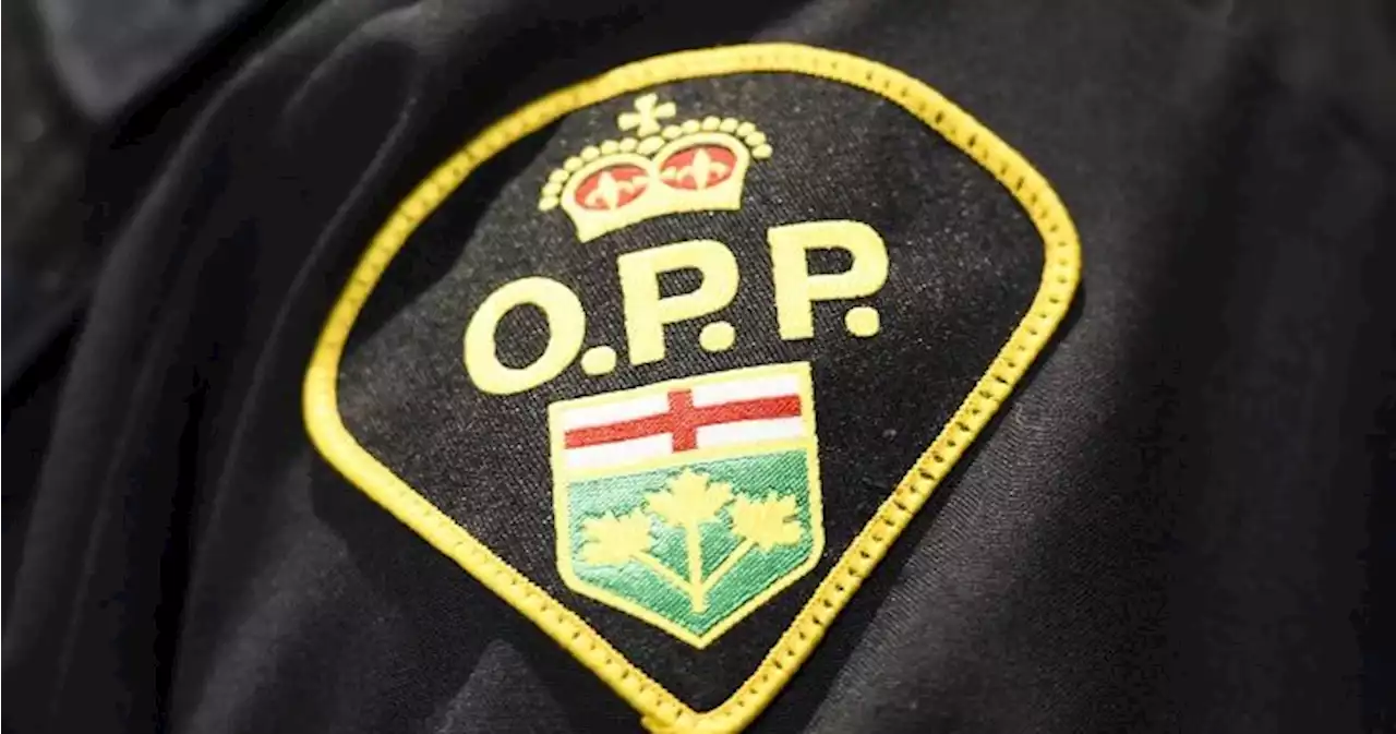 Oshawa teen drowns in Burnt River in Minden Hills Township: OPP