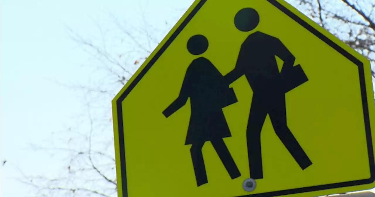 Saskatchewan missing crucial guidelines for school transportation safety