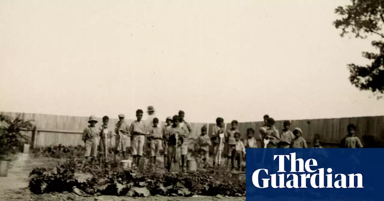 Who are the Stolen Generations and what has happened to them?