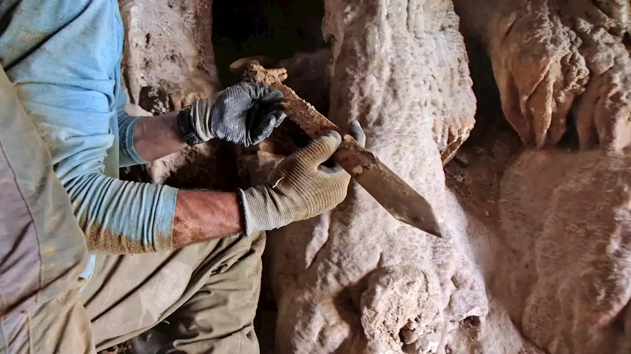 Four hidden Roman swords found in an Israeli cave