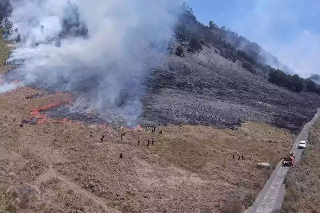 Porses Pemadaman Kebakaran Bukit Teletubbies Bromo Akibat Flare Sudah 80 Persen