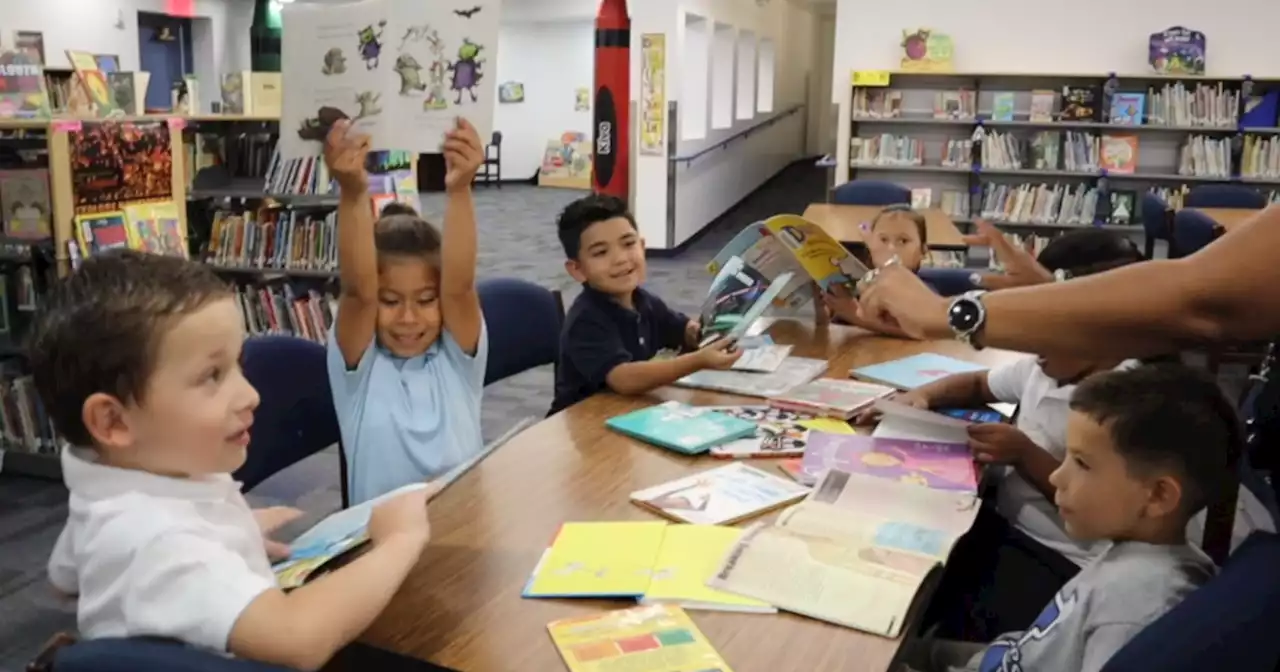 'If You Give a Child a Book' gives free books directly to students in need