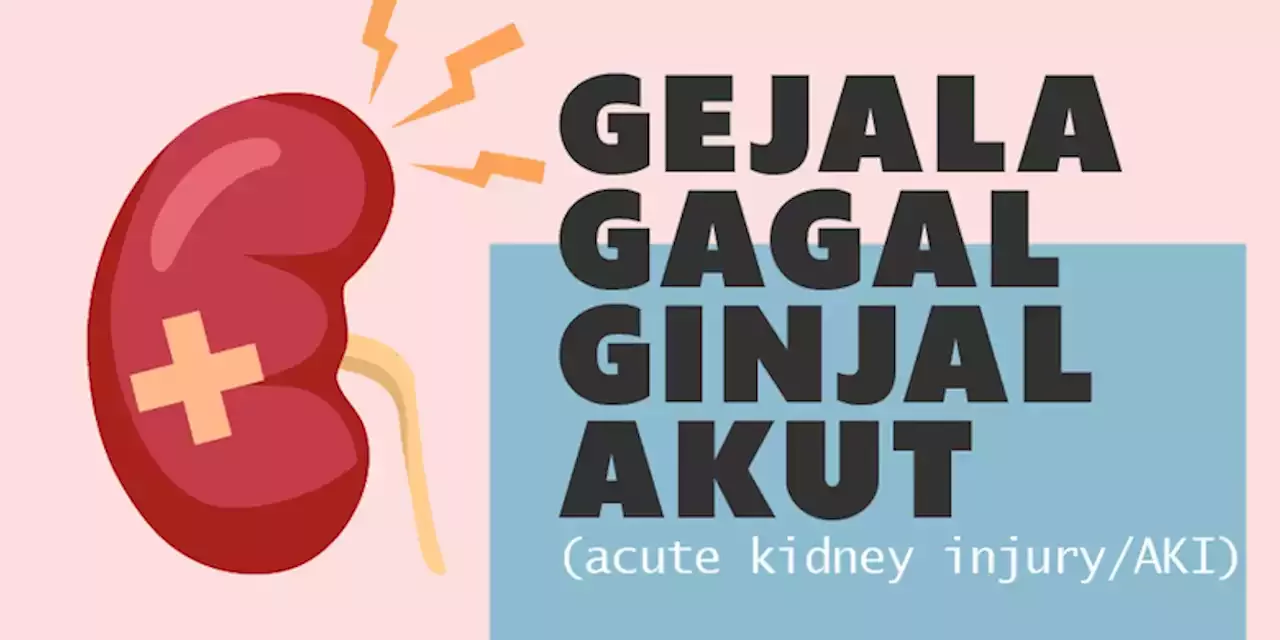 INFOGRAFIK: Kenali Gejala Gagal Ginjal Akut | Indonesia | Head Topics