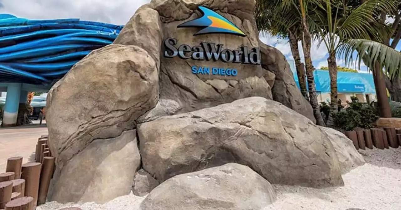 San Diego sues SeaWorld for $12.23M in back-due rent