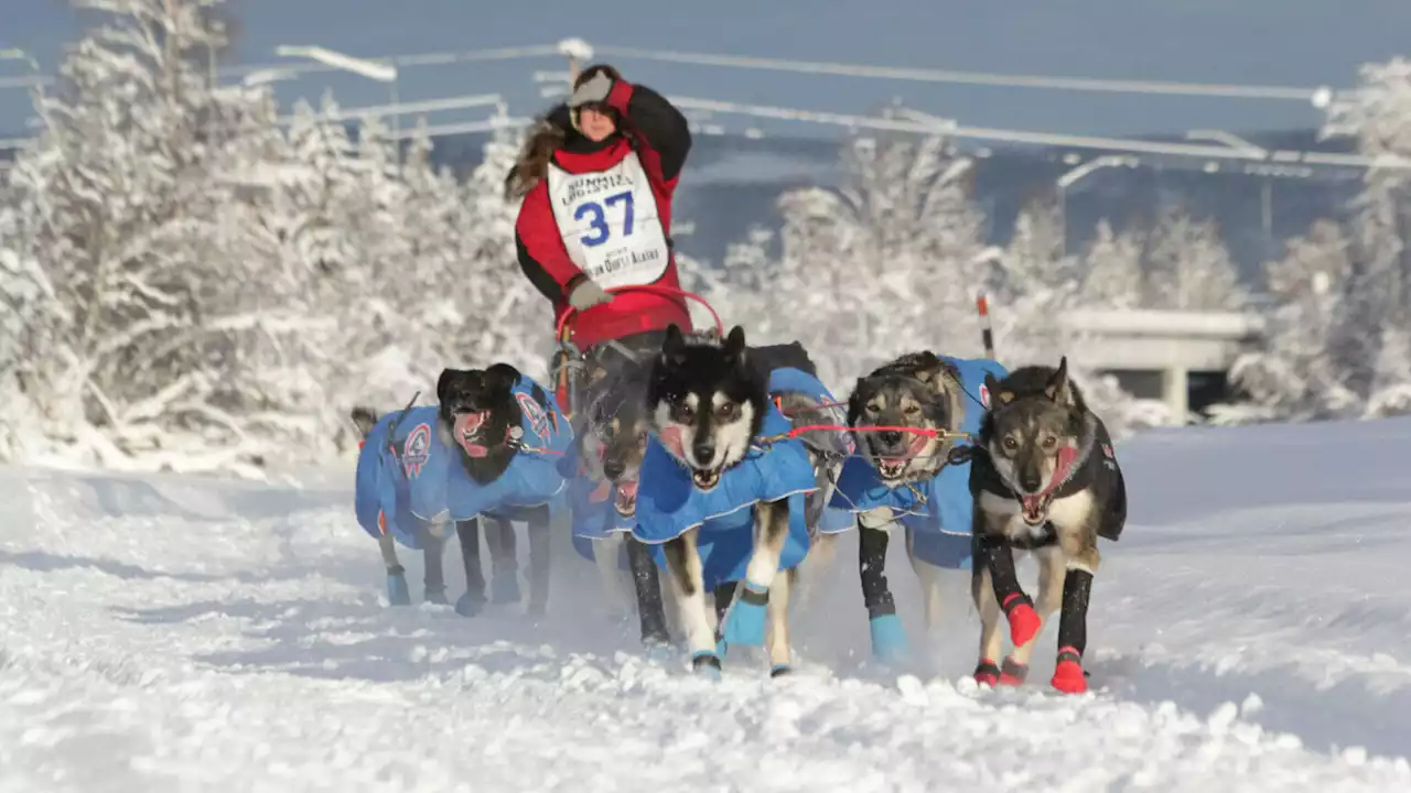 Yukon Quest Alaska to hold 300-mile sled dog race as rift with Canada continues