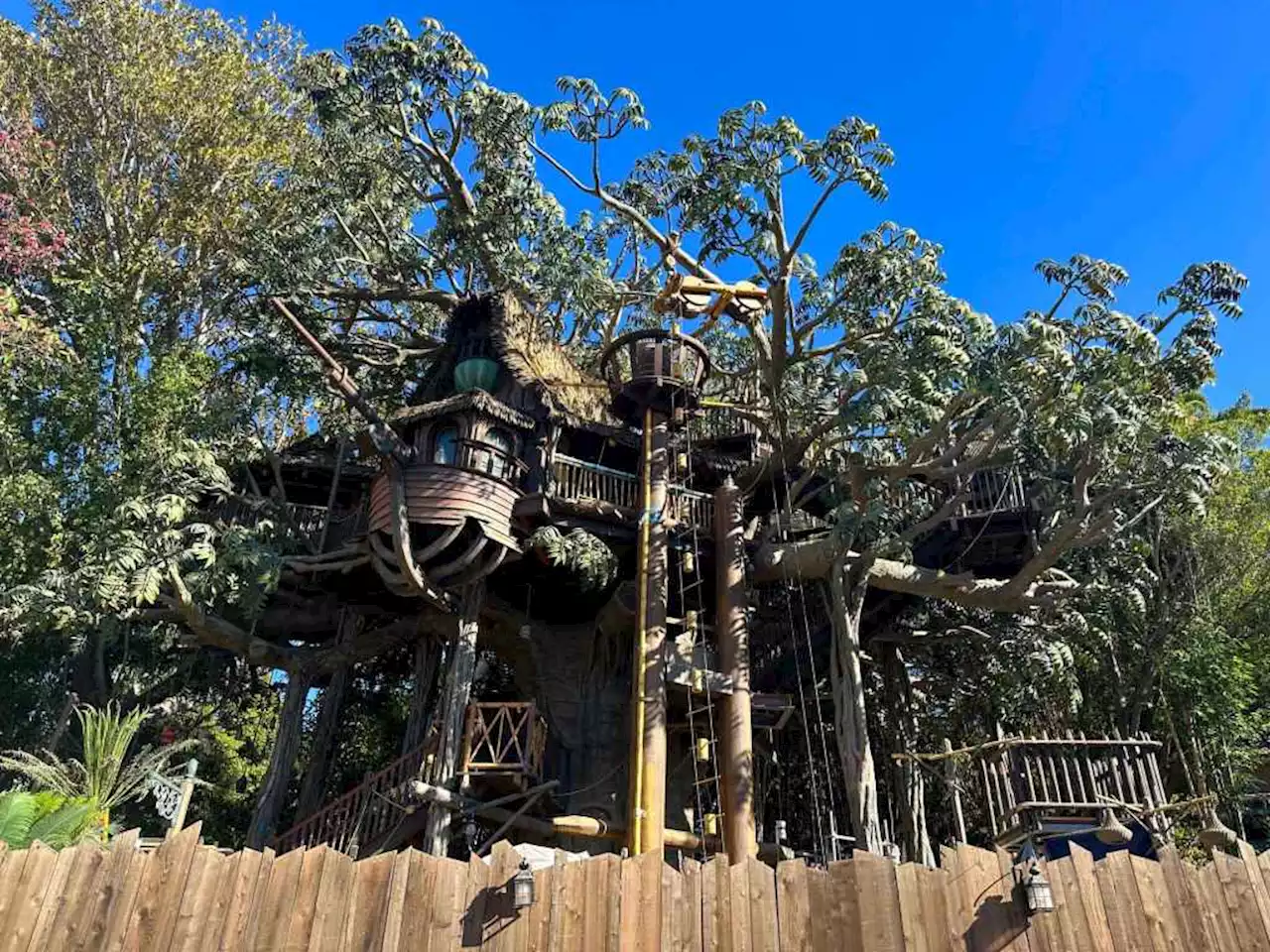 Disneyland to reopen Adventureland Treehouse this fall after 2-year refurbishment