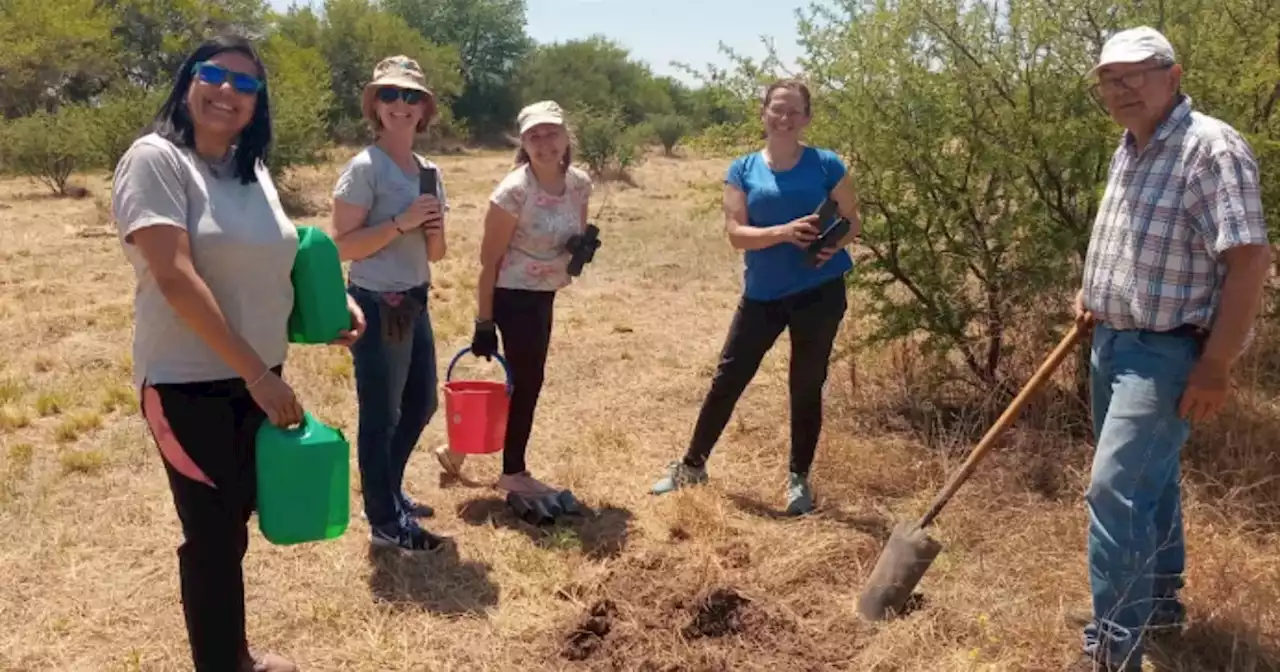 Convertirán en bosque una chacra de la zona norte de Colonia Caroya | Ciudadanos