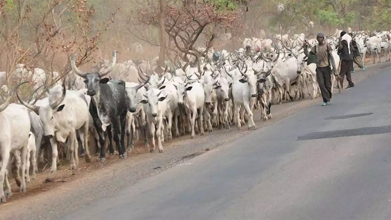 Miyetti Allah Protests Profiling As Criminals, Kidnappers