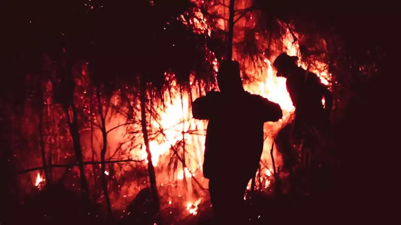 BPBD Jatim Minta Tambahan Helikopter untuk Padamkan Kebakaran Hutan Gunung Arjuno