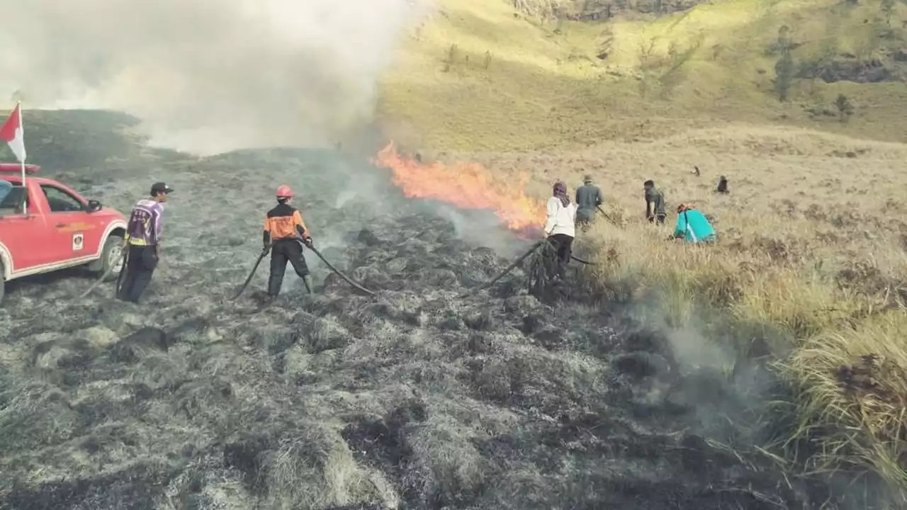 Wisata Gunung Bromo Ditutup Total Imbas Kebakaran Lahan di Bukit Teletubies