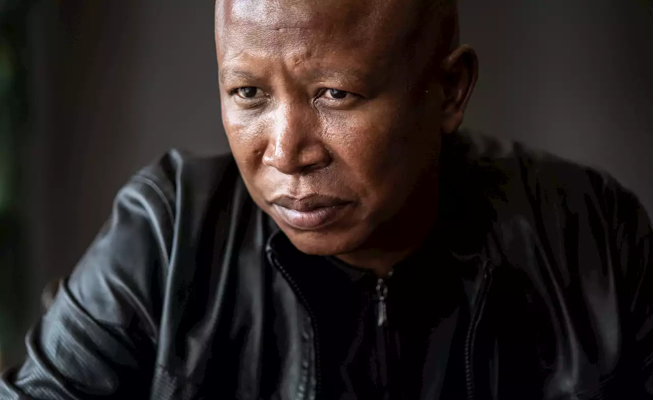 Julius Malema faces animal cruelty charges