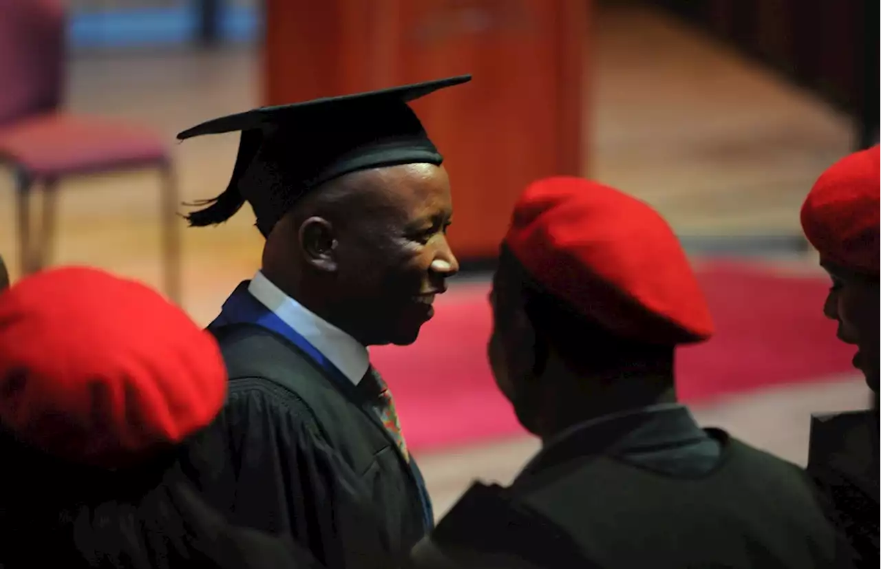 This the profile of an average EFF voter – and it's not who you think it is