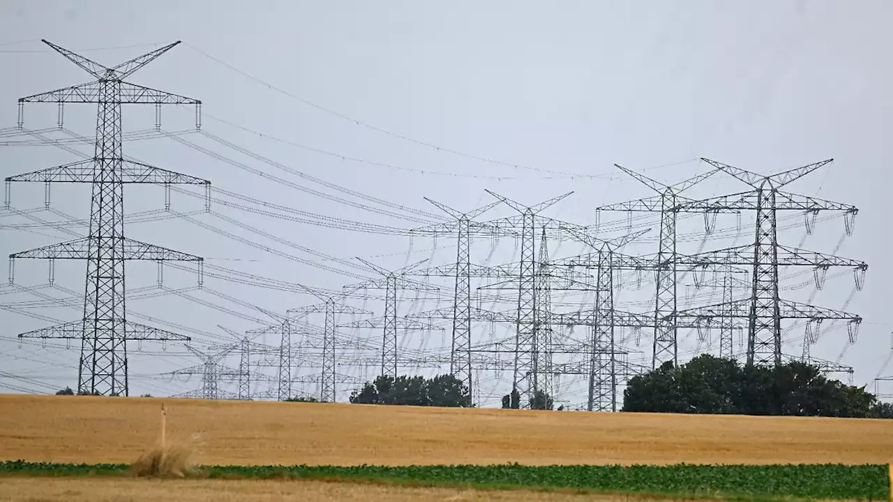 Länder erhöhen Druck auf Ampel für billigen Industriestrom