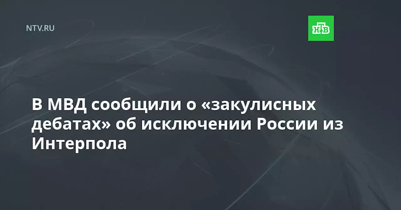 В МВД сообщили о «закулисных дебатах» об исключении России из Интерпола