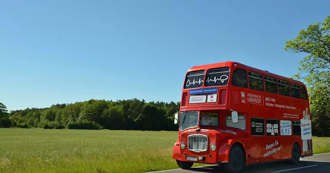 Vor Höxteraner Dechanei: Schlaganfall-Prävention im roten London-Bus