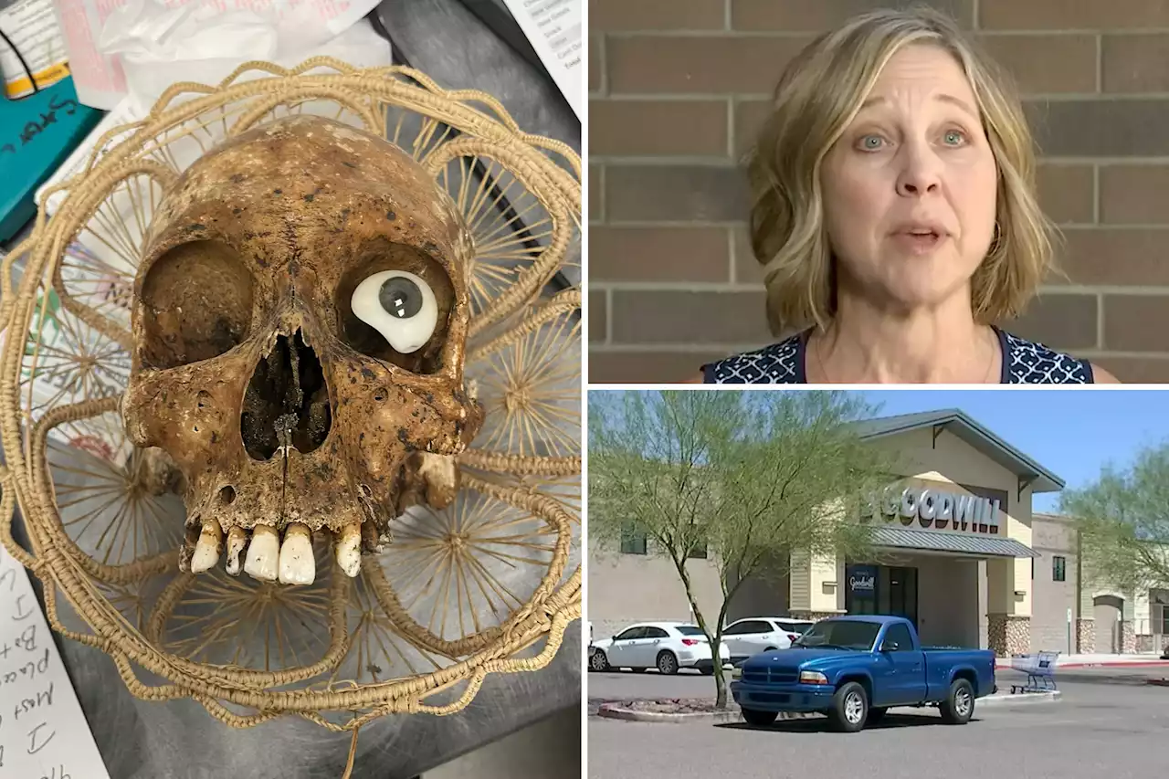 Human skull with fake eye donated to Arizona Goodwill, shocking thrift stop workers