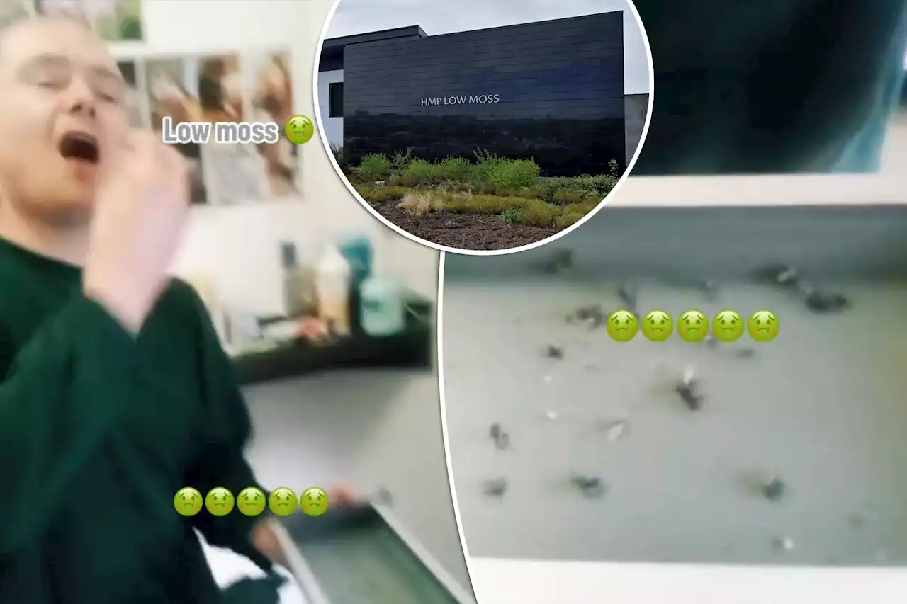 Prisoners filmed eating bugs in exchange for ‘spice’ street drug