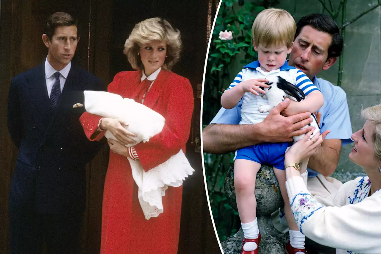 King Charles’ complaints about Prince Harry being a boy were ‘devastating’ for Princess Diana