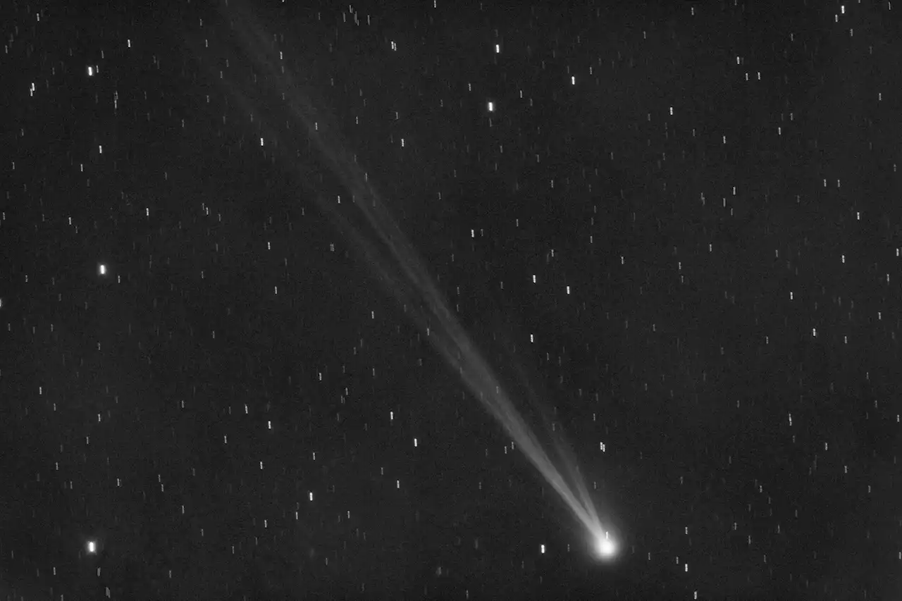 Across the Northern Hemisphere, now's the time to catch a new comet before it vanishes for 400 years