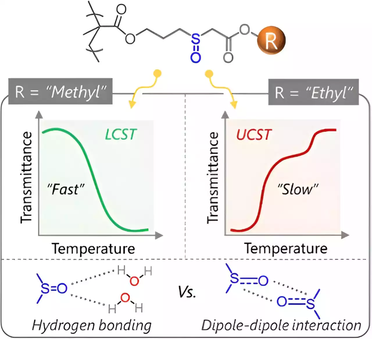 Researchers develop polymer that can be adapted to high and low temperature extremes