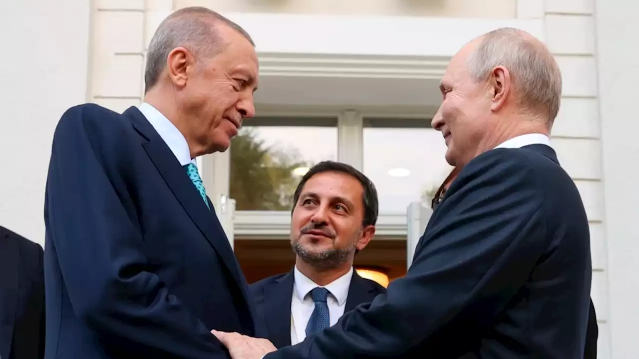 Meeting Erdogan, Putin Lies (Again) About Why Russia Quit the Black Sea Grain Deal