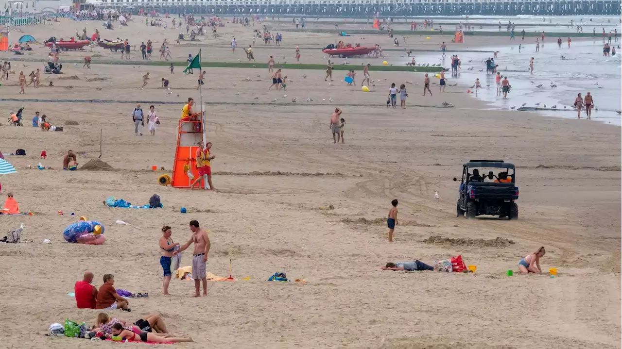 Vague de chaleur : les sauveteurs du littoral appellent les baigneurs à nager dans les zones surveillées