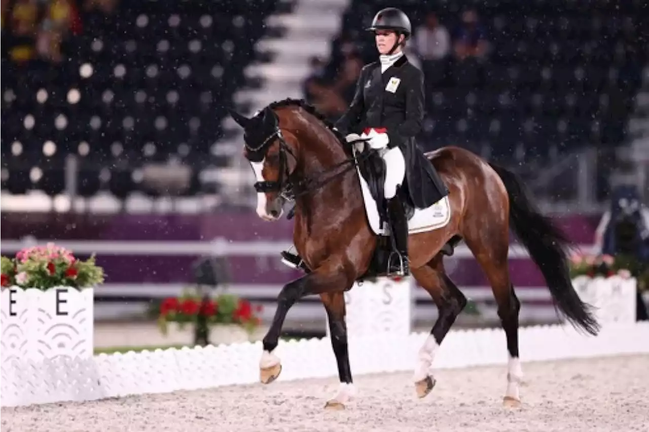 L'équipe belge de dressage se qualifie pour les Jeux Olympiques de Paris 2024