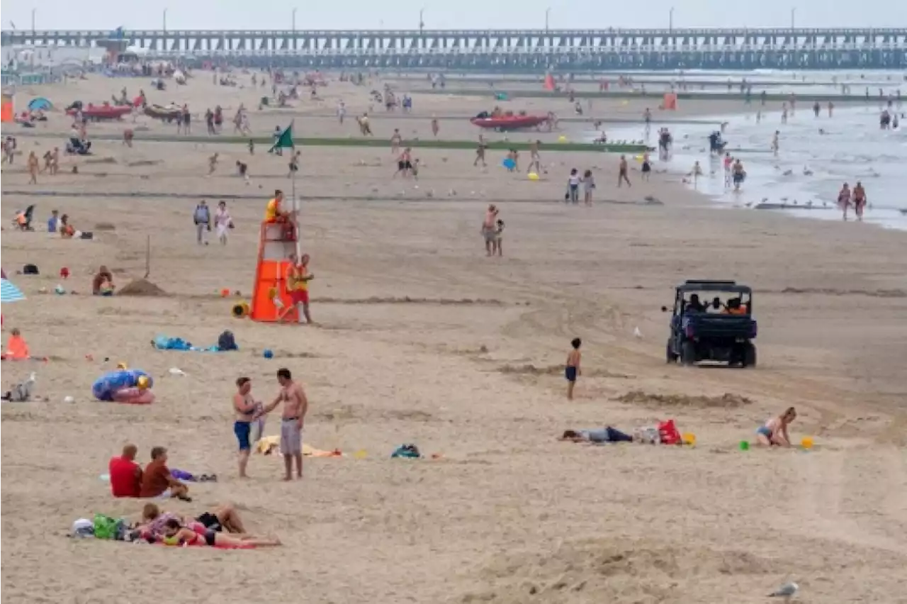 Les sauveteurs du littoral appellent les baigneurs à nager dans les zones surveillées