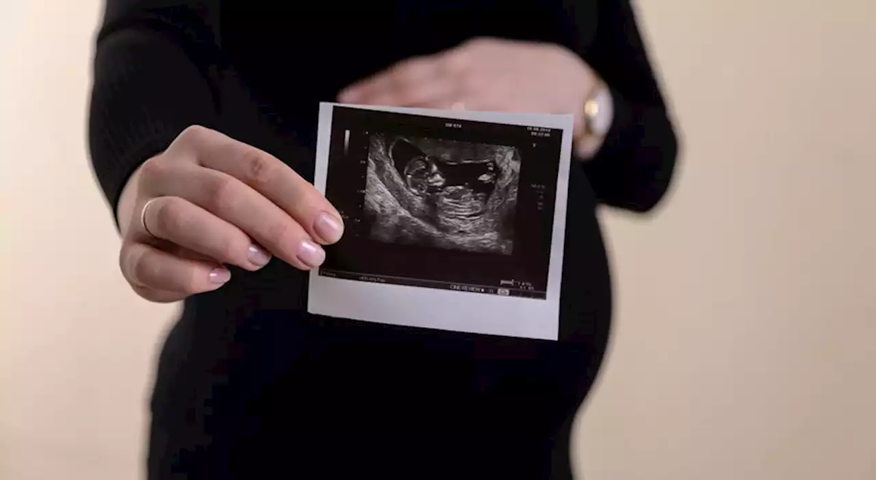 Ministério da Saúde indiferente no apoio à procriação medicamente assistida, diz Associação Portuguesa de Fertilidade