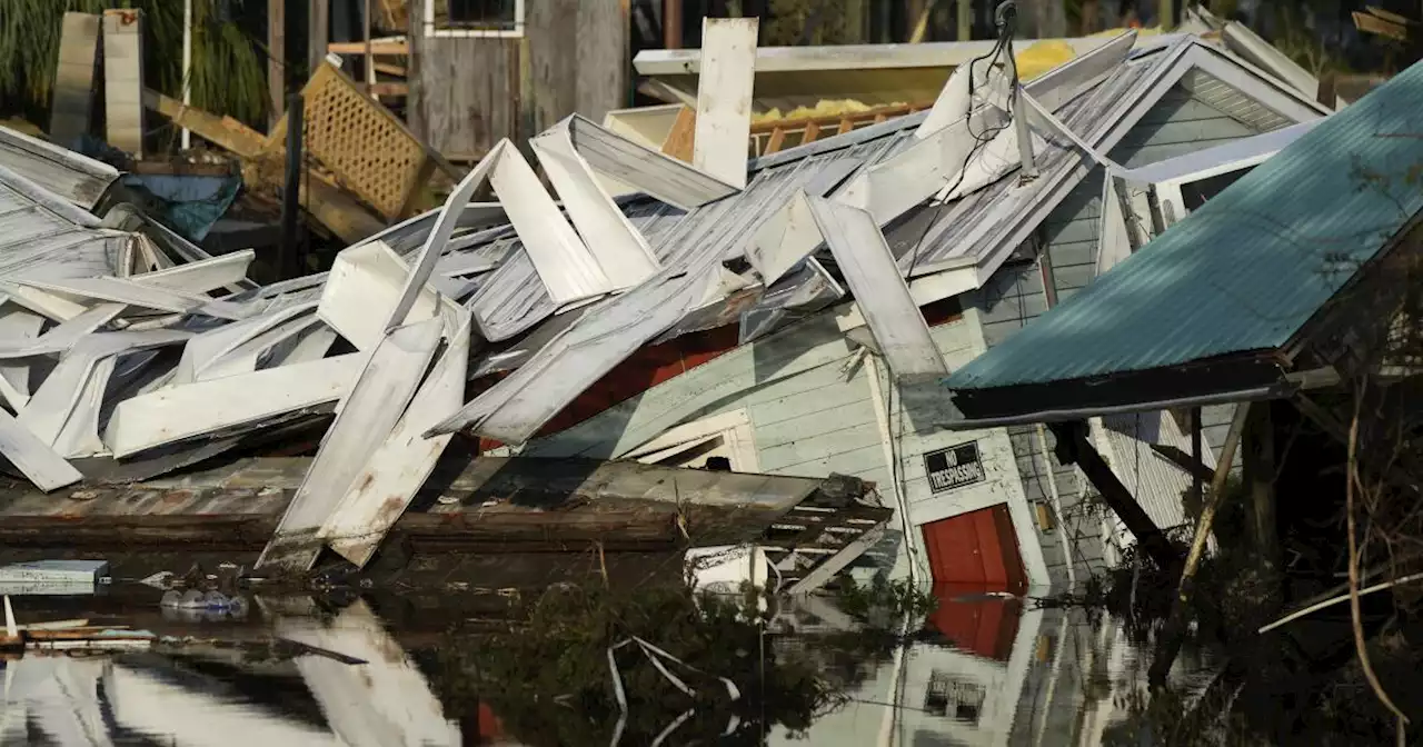 Man struck by tree while cleaning hurricane debris is third Florida death from Hurricane Idalia