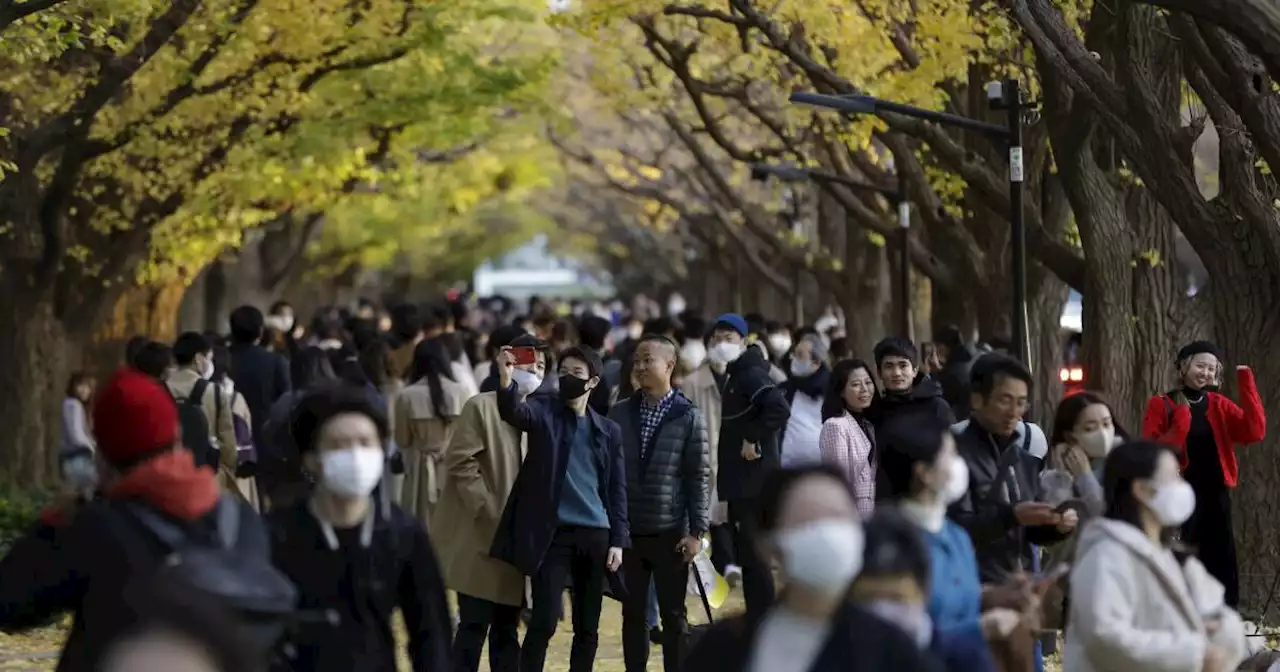 Tokyo's threatened Jingu Gaien park placed on 'Heritage Alert' list by conservancy body