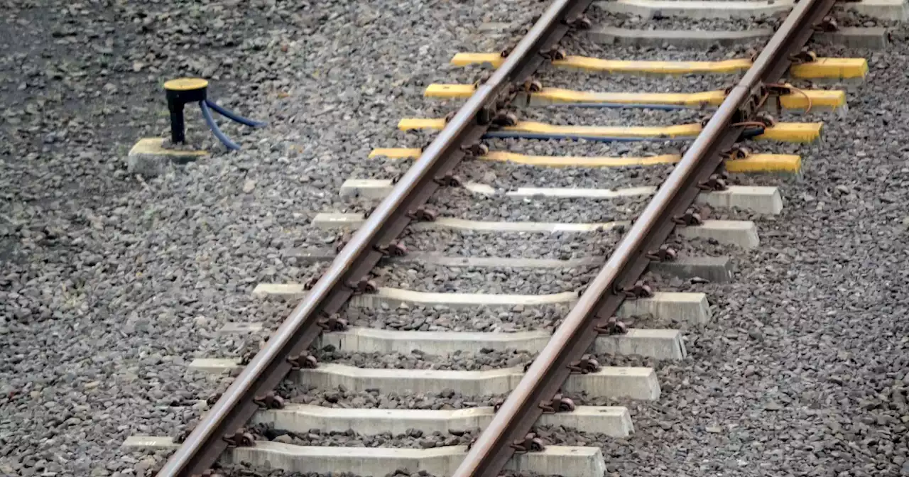 Queda de cabo corta circulação ferroviária na Linha do Minho