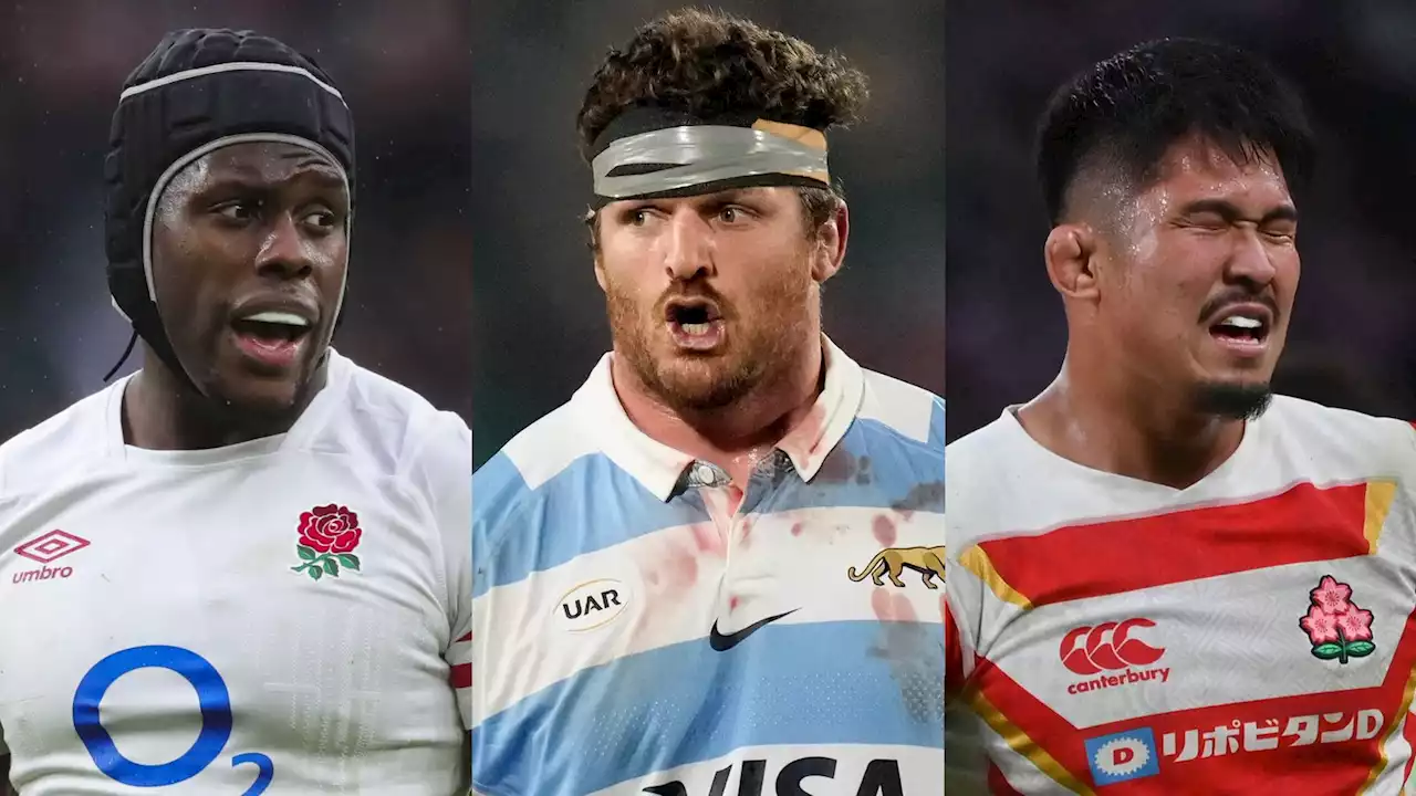 Rugby World Cup 2023 team guides: Pool D - England, Argentina, Japan, Samoa, Chile