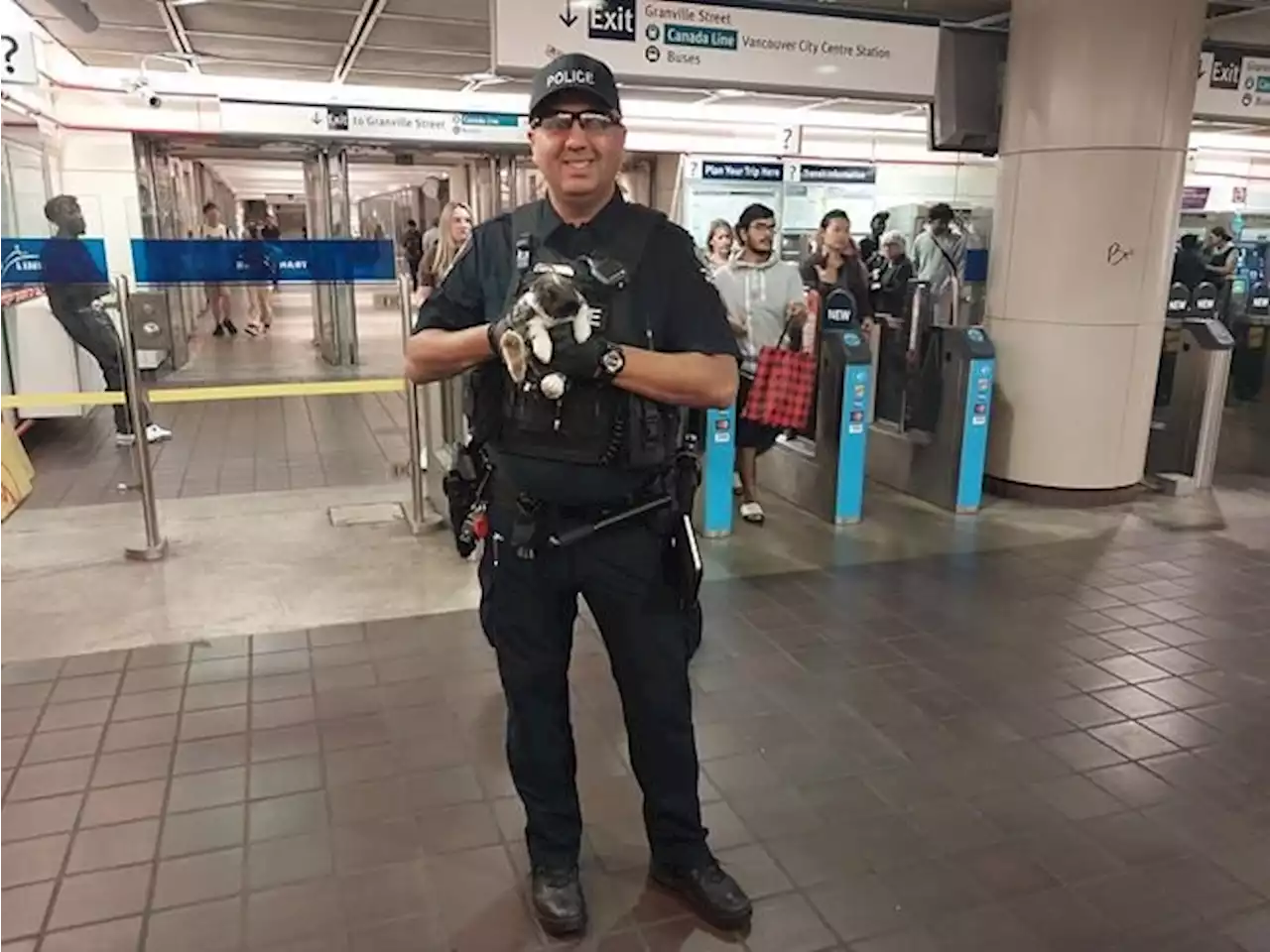 Police return emotional support rabbit that ran loose in Vancouver SkyTrain station